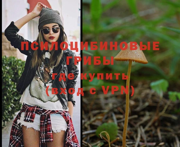 герыч Алексин